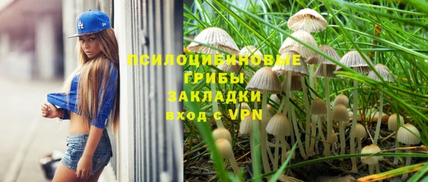 2c-b Абинск