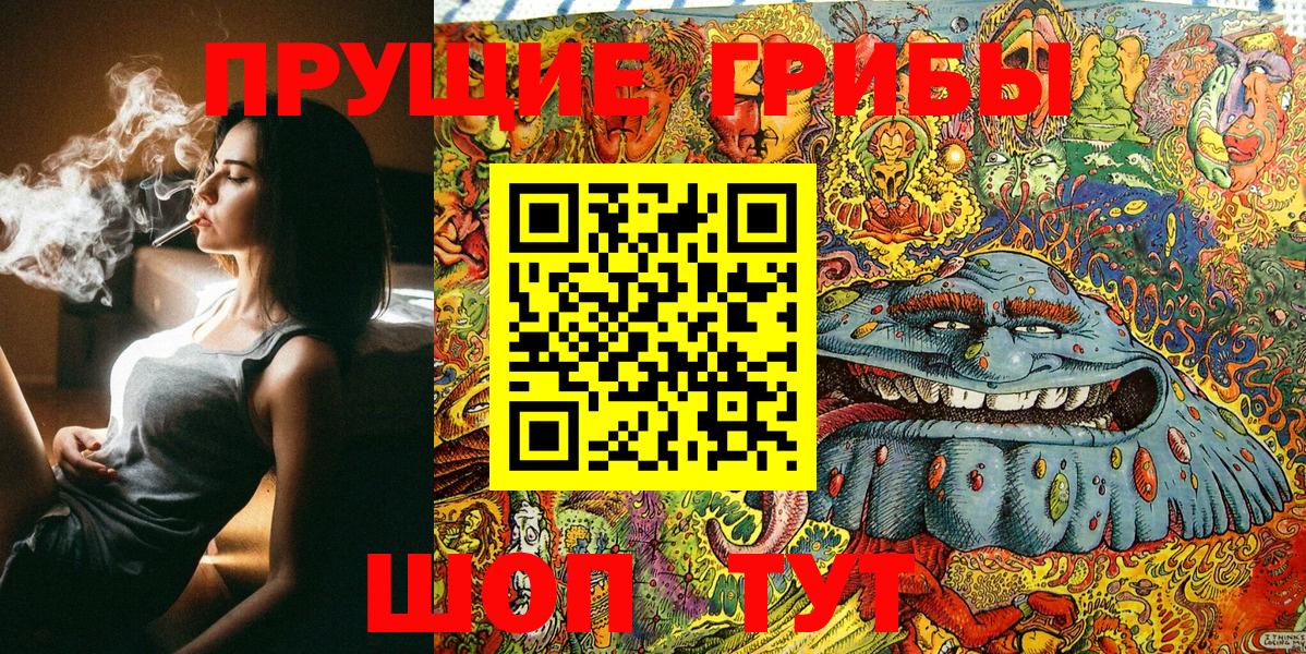 Псилоцибиновые грибы Psilocybe Кимовск
