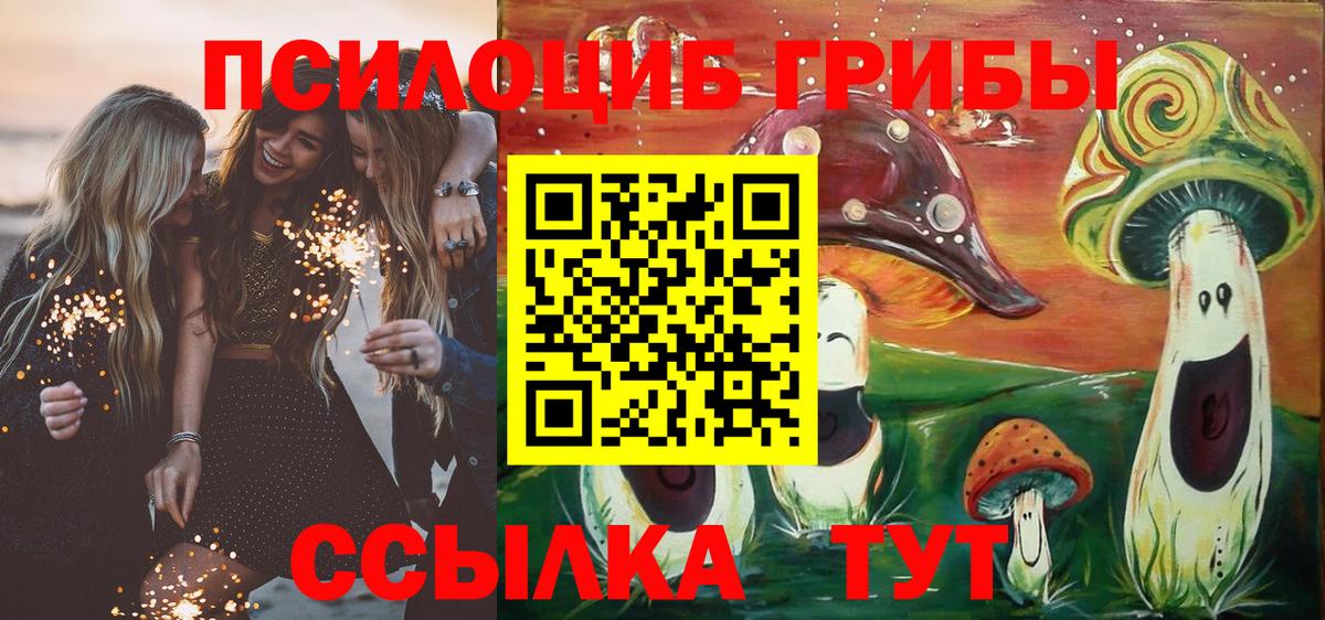 Галлюциногенные грибы GOLDEN TEACHER  Вход с VPN  Кимовск  Галлюциногенные грибы мицелий 